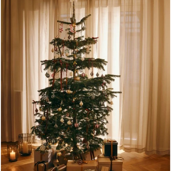 Weihnachtsbaum