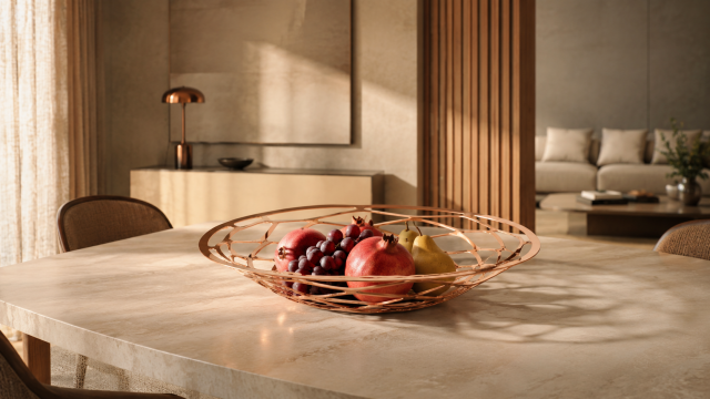 VI 105048_ARIA_Schale_mood3D3JEdRTdjlge_640x450.png