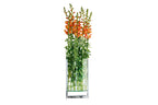 VI 123053_123054_DECADE_Vase_deco3_RGB.jpg