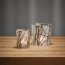 VI 141030_141031_FOREST_Windlicht_120x65.png