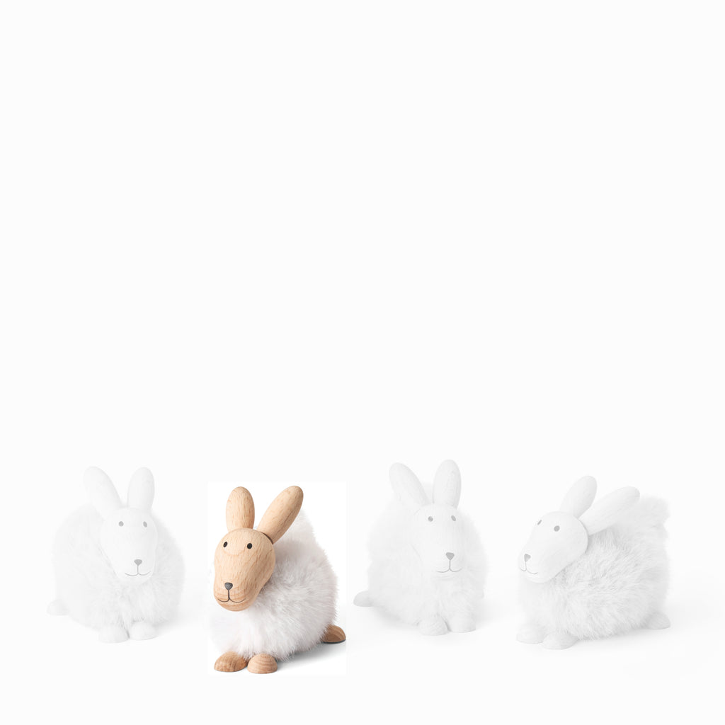 VI 285058_EMILY_Hase.jpg