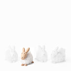 VI 285058_EMILY_Hase.jpg