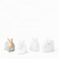 Philippi Emily Hase