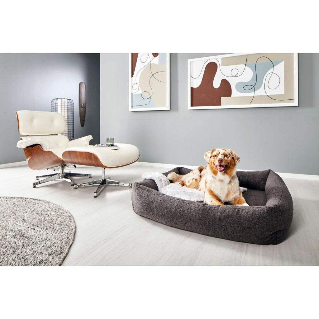 491198