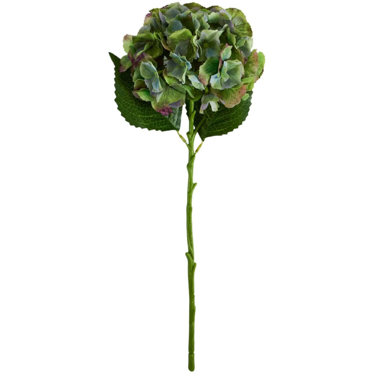 537881