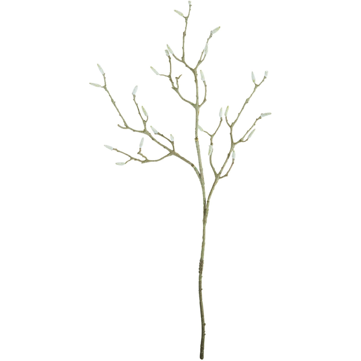 537886