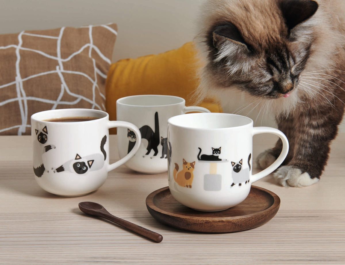 VI Coppa-Cats-Dogs-Pets-Animals-Teddy1_18f67d4e-1866-41b9-9a45-20a66a2e4ad2.jpg