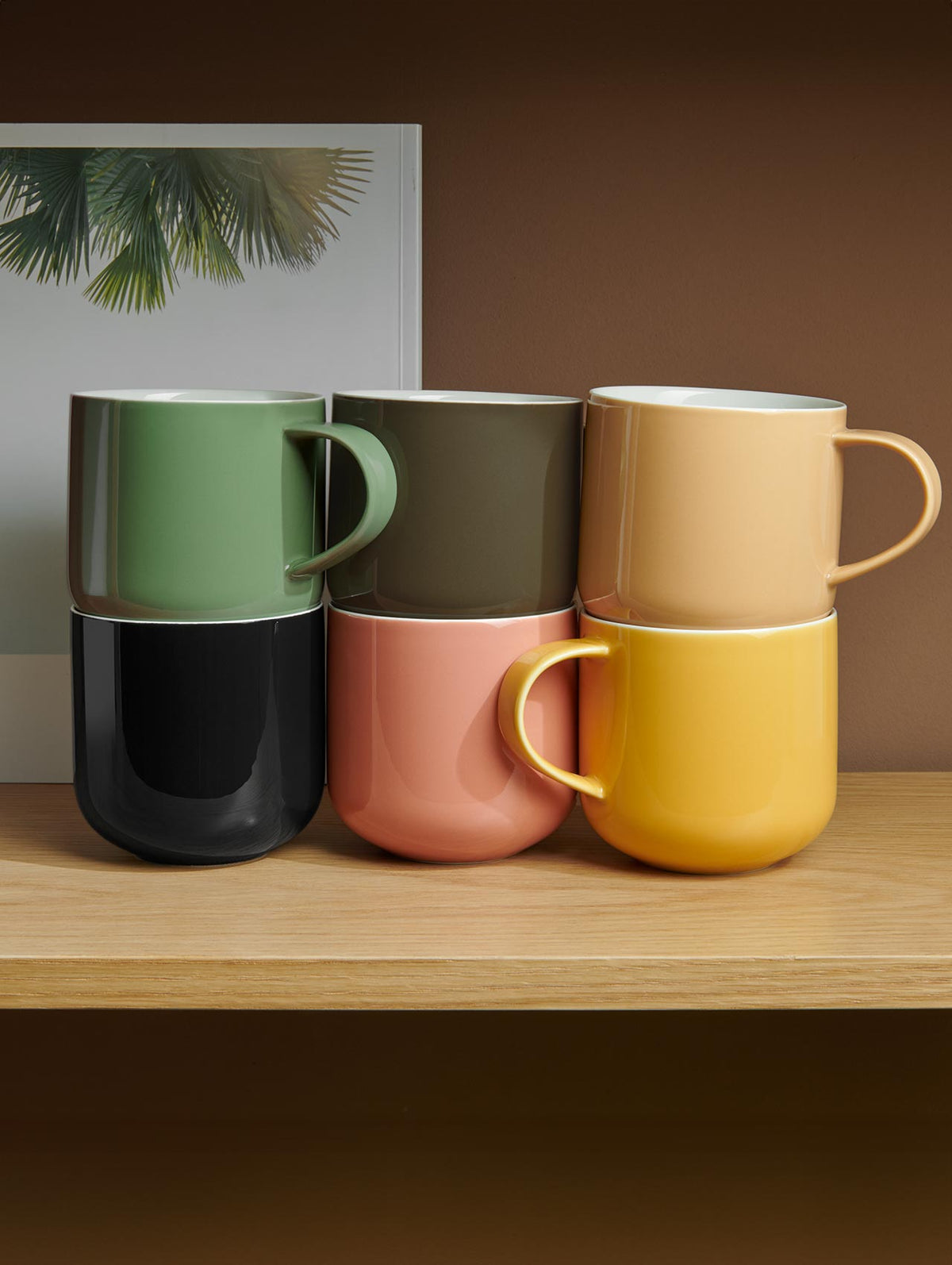 VI Coppa-bicolor-nature_a05c4261-2209-4e0c-9bdc-873fb685ab7e.jpg