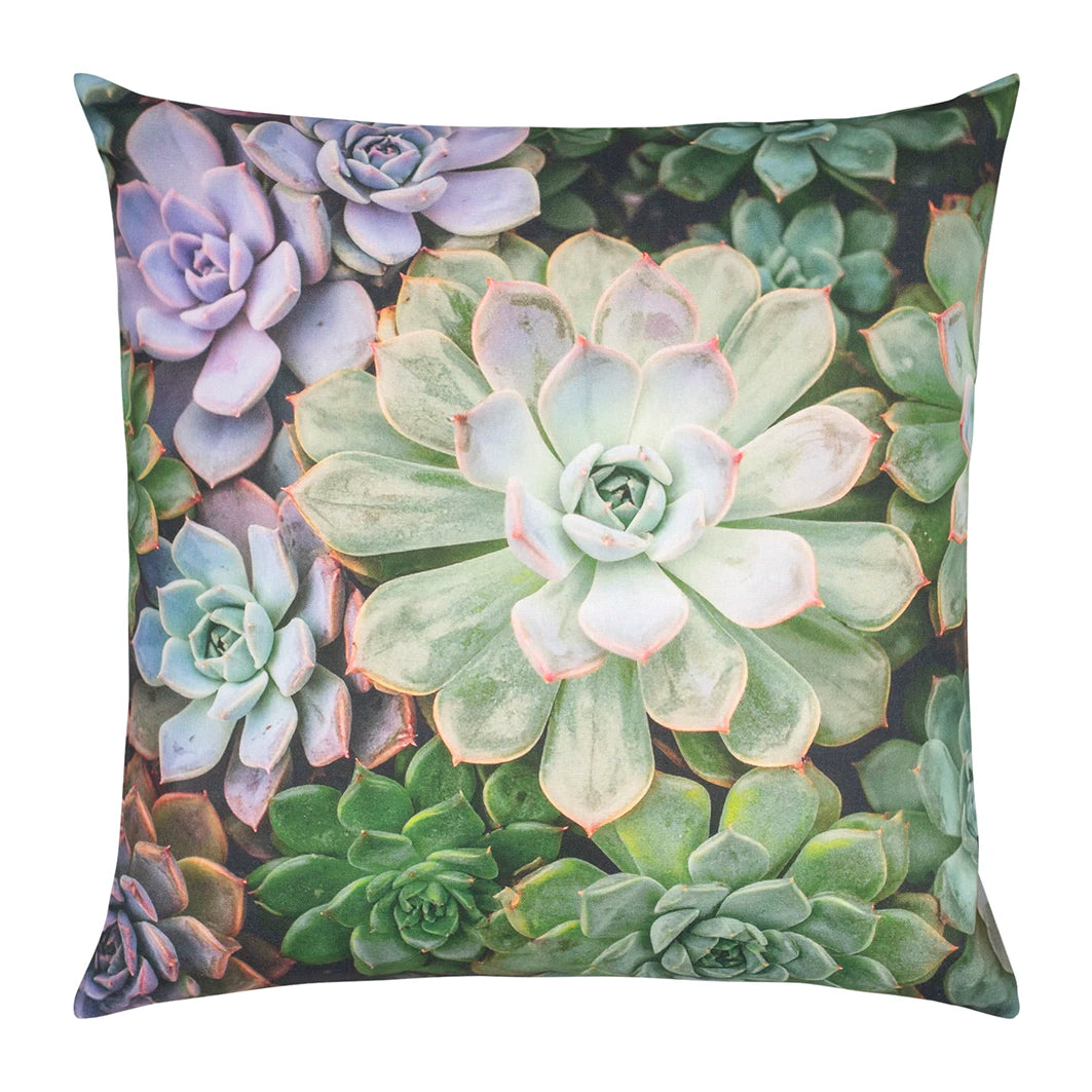 pad ECHEVERIA Kissenhülle