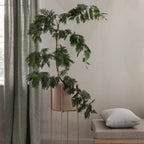 VI KENA_4-medium.webp
