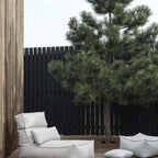 VI STAY_18-medium.webp