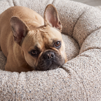 Hundebett LENI Bouclé Beige