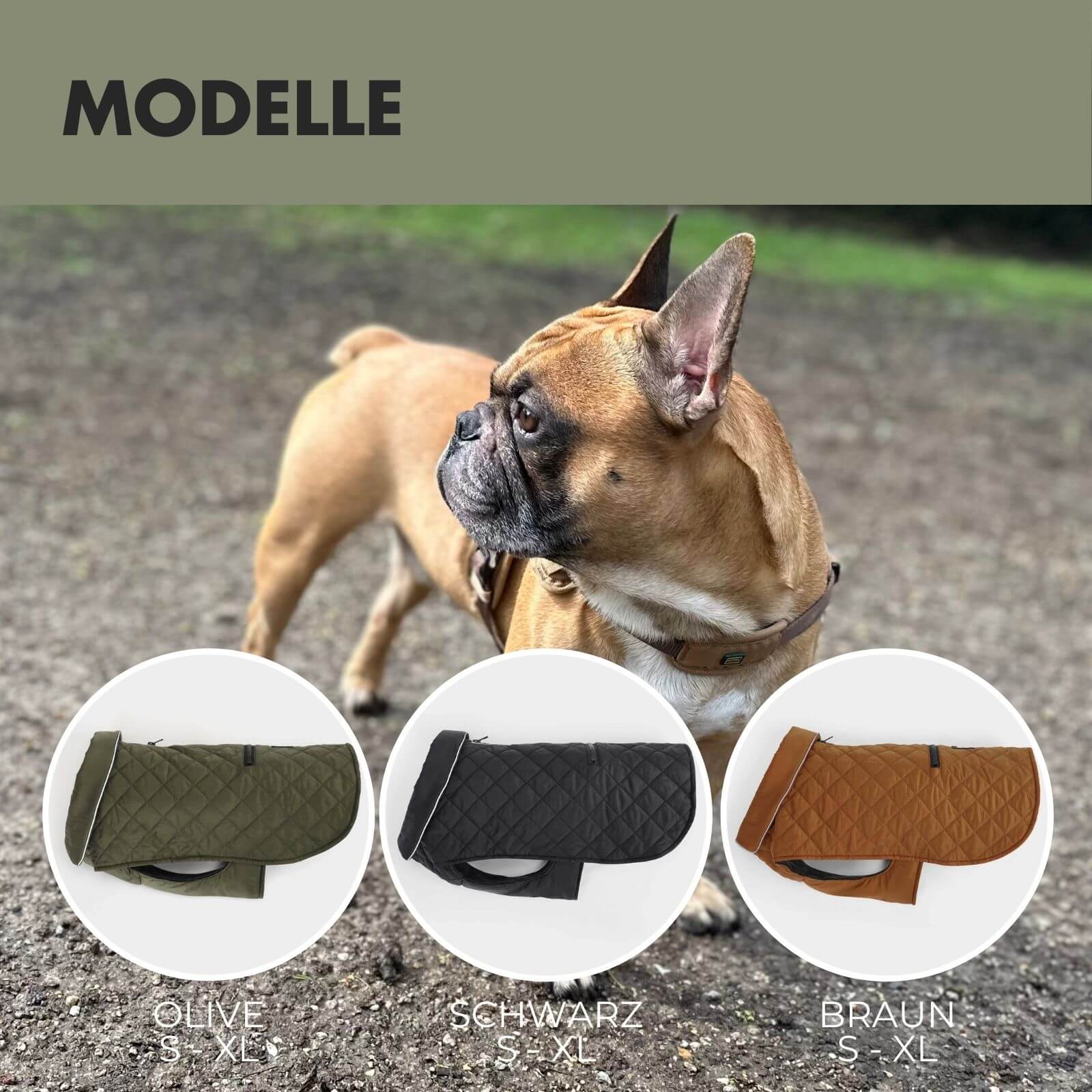 Hundejacke FRITZ Olive