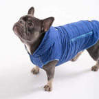 Hundejacke IMMI Blau