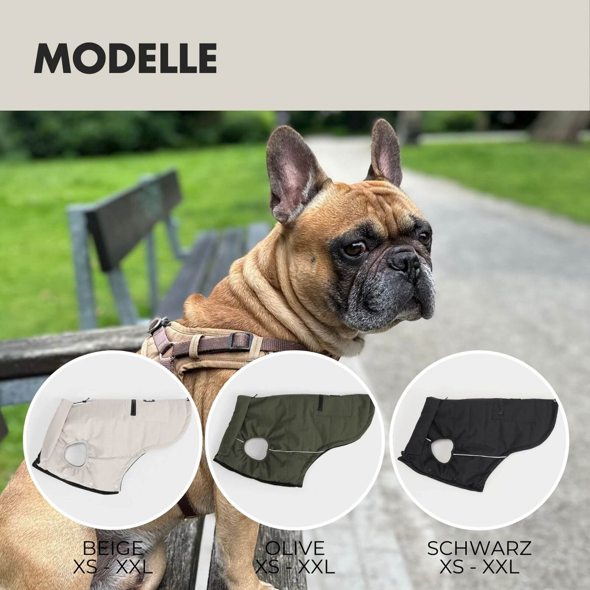 Hundejacke TONI Beige