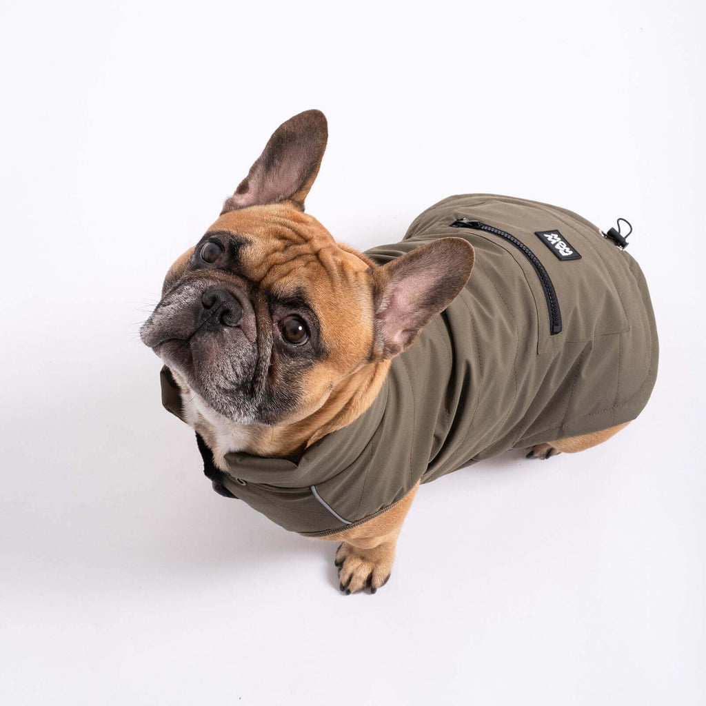 Hundejacke TONI Olive