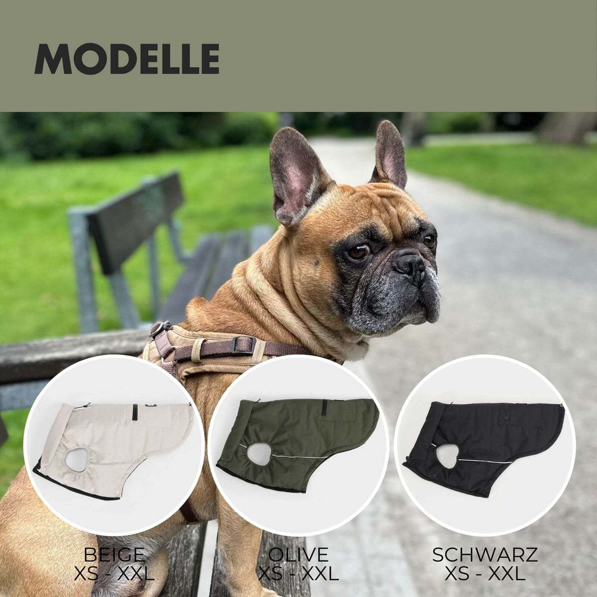 Hundejacke TONI Olive